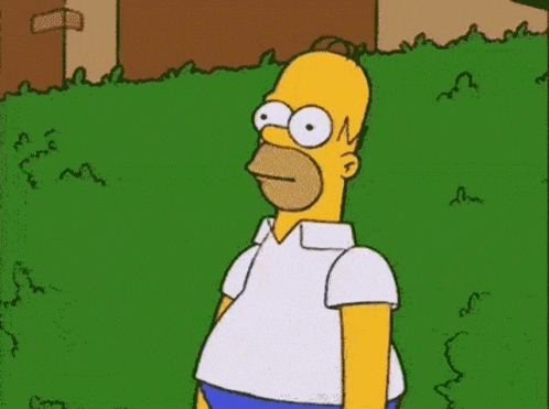 The Simpsons GIF - The Simpsons Homer GIFs