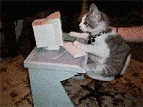 Cat Computer GIF - Cat Computer Typing GIFs