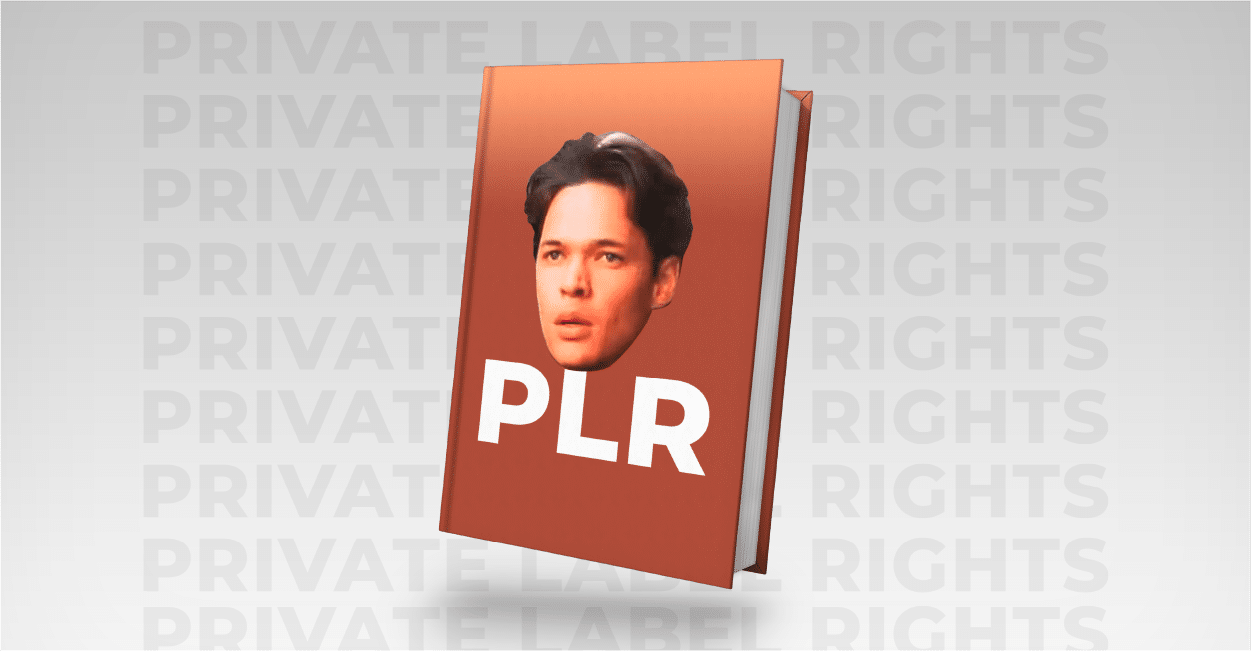 O Que é PLR no Marketing Digital?