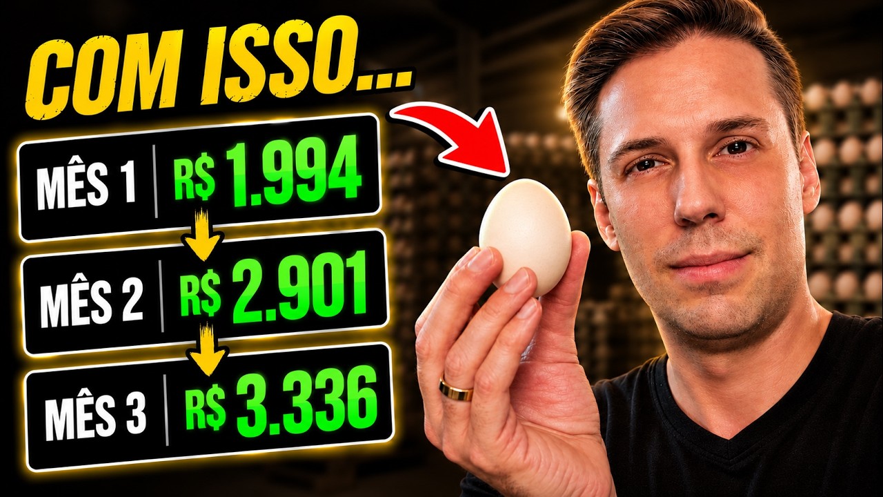 Como Um Ovo Mudou Minha Vida Financeira